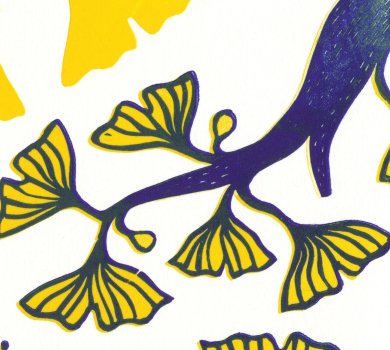 Illustration Perrine Boyer